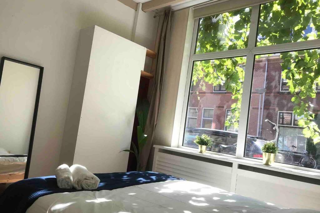 New Cozy Room With Private Bathroom Delft City P-Room 1 المظهر الخارجي الصورة
